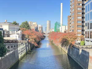 トレステージ目黒1404の室内15