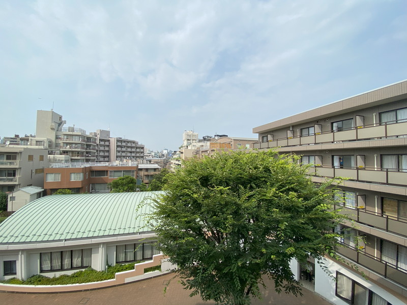 グリーンヒル恵比寿408の室内3
