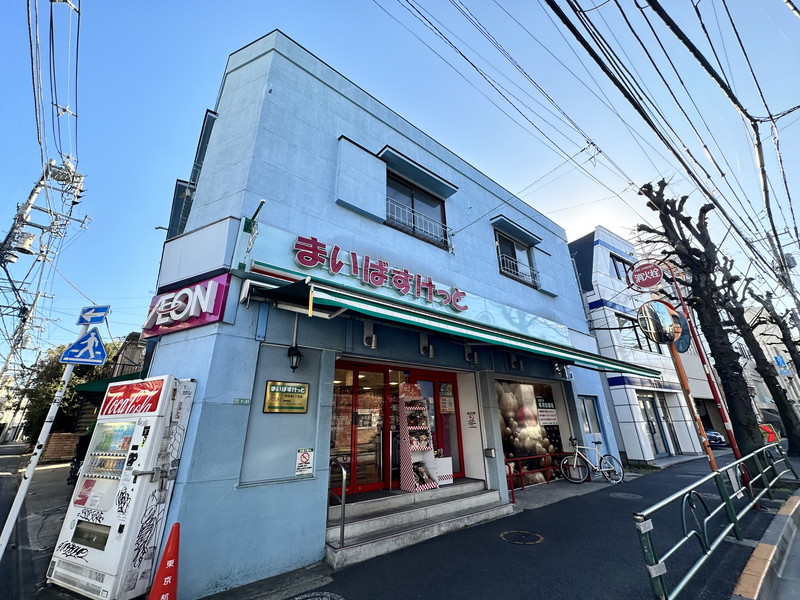 レジディア中目黒Ⅲ204の室内16