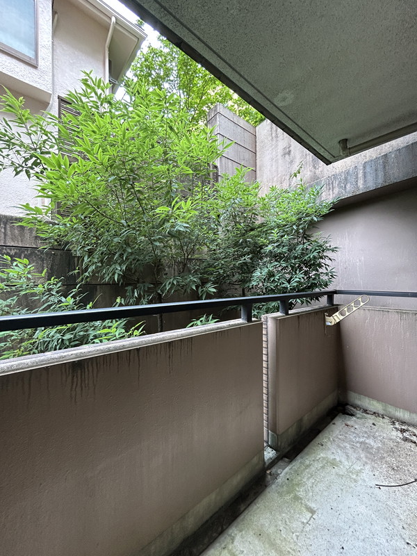 菱和パレス三軒茶屋206の室内10