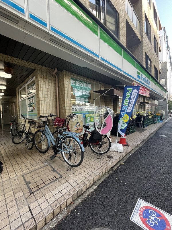 グランド・ガーラ用賀309の室内9