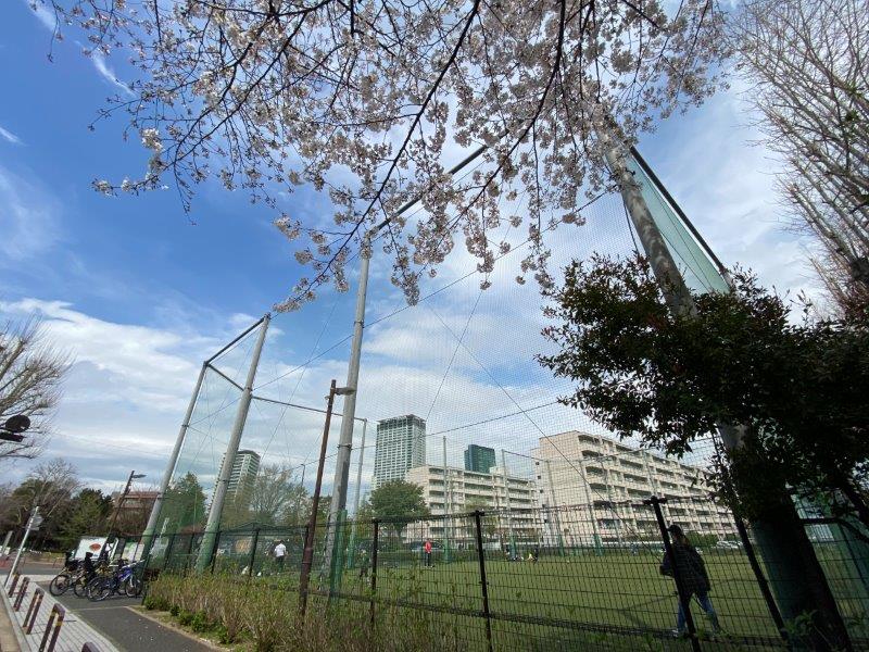 リテーラ中目黒205の室内15