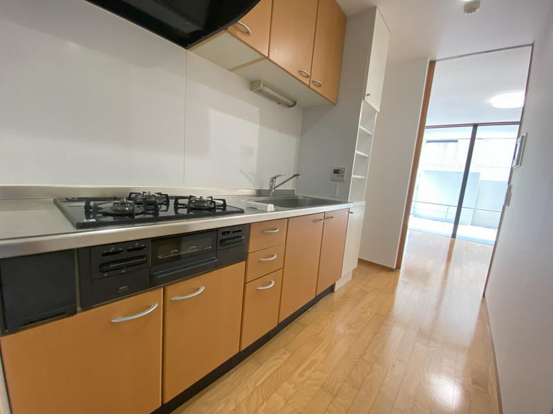 U residence(ユーレジデンス)桜新町110の室内3