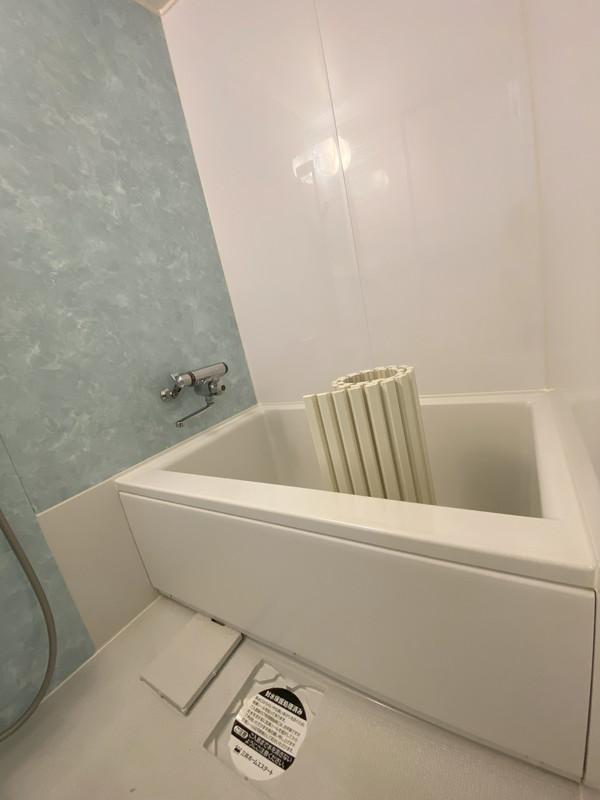 U residence(ユーレジデンス)桜新町110の室内12