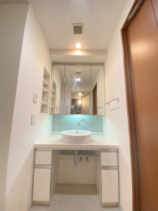 コンフォリア下北沢609の室内8