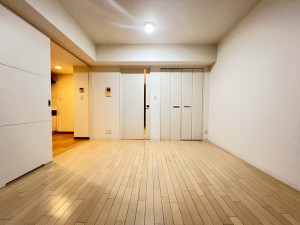 ミリアレジデンス桜新町604の室内11