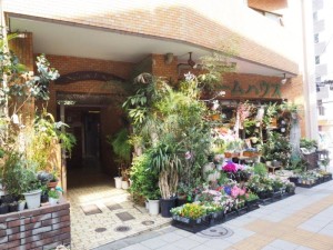 エルファーロ世田谷三宿0205の室内16