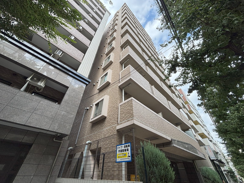 ディモーラ都立大学803の室内1