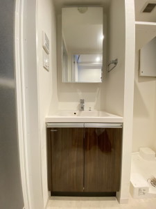 ルネサンスコート三軒茶屋WEST103の室内5