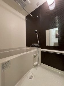 ラティエラ都立大学405の室内9