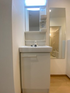プライムガーデン桜新町104の室内5