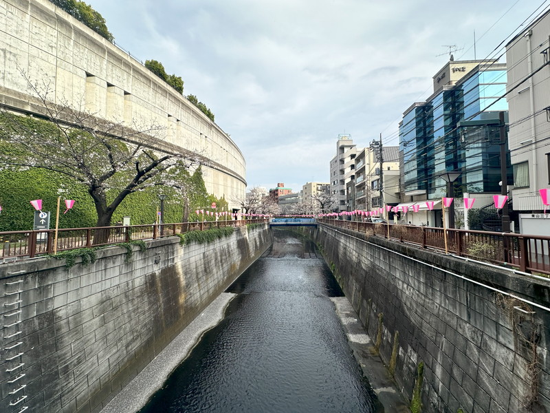 東山1丁目戸建て一部貸の室内18