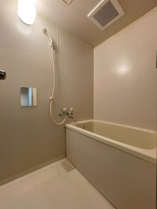 パストラル野沢壱番館202の室内7