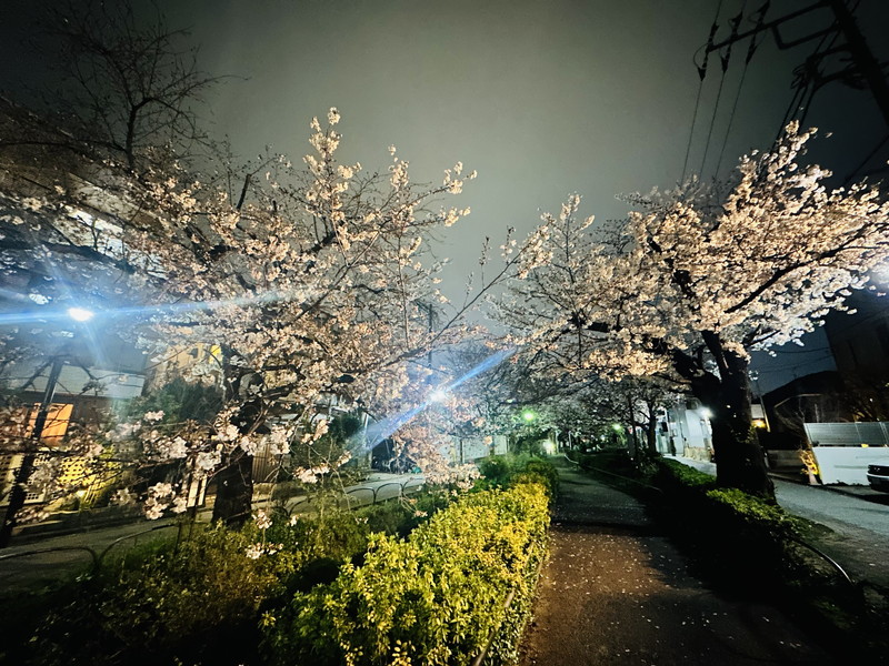 エクセリア東北沢503の室内10