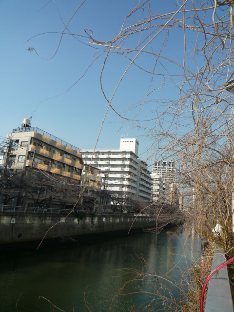 ベルファース目黒405の室内5