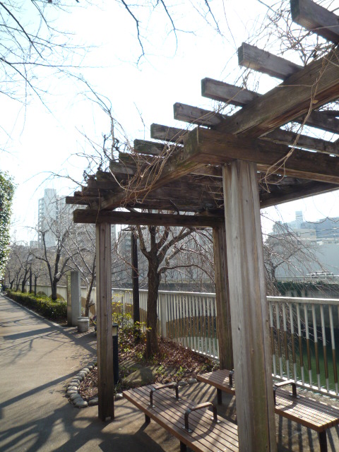 ベルファース目黒405の室内8