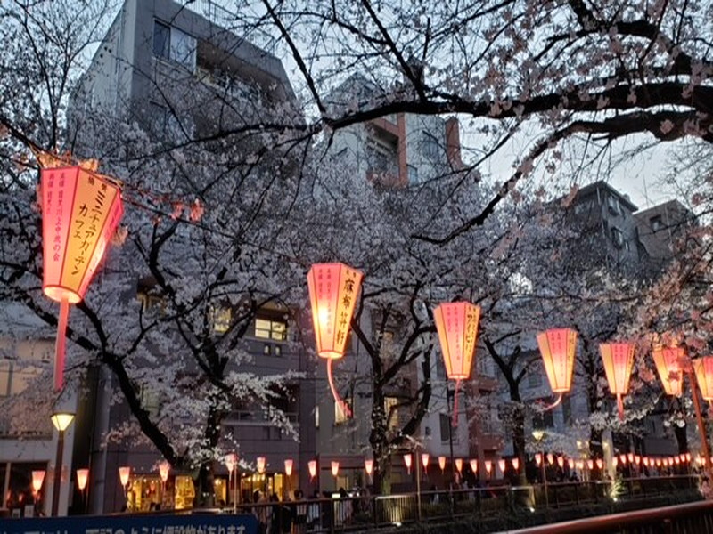 エアー中目黒103の室内13