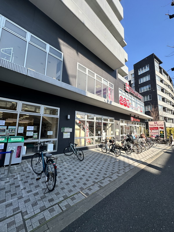 House Avenue 柿の木坂（ハウスアベニュー柿の木坂）304の室内16