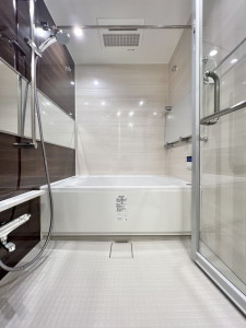 プリマリード南青山703の室内16