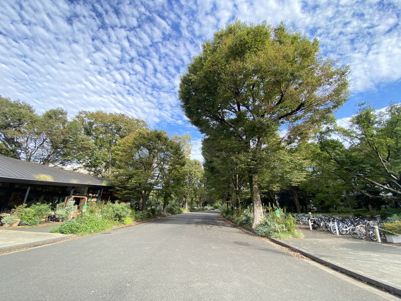 エルファーロ駒沢公園Ⅰ202の室内10