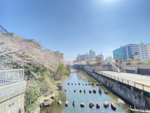 コスモリード恵比寿103の室内14