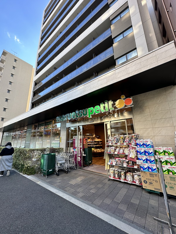 コスモリード恵比寿103の室内11