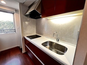 コスモリード恵比寿103の室内5