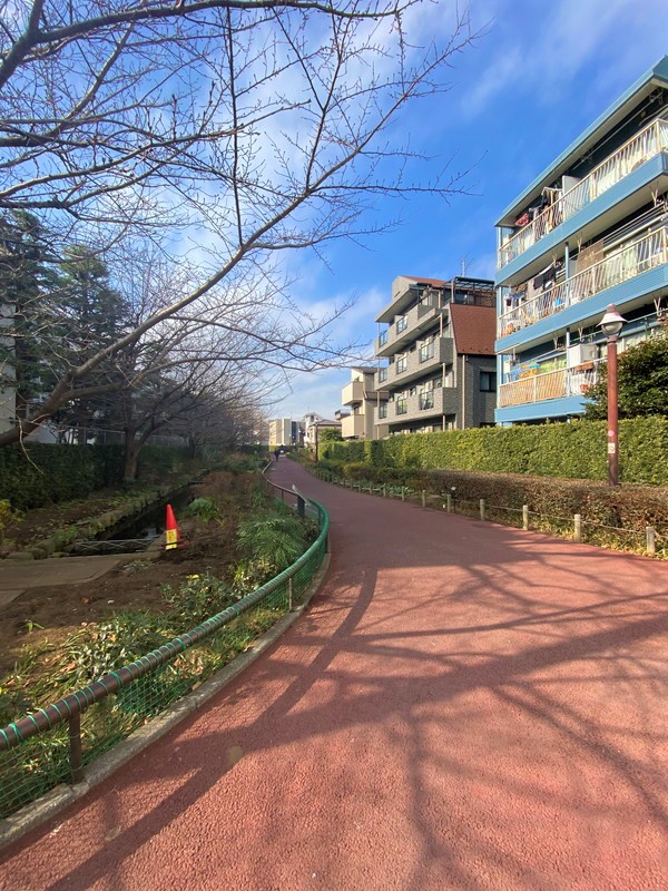 88.AOBADAI402の室内15