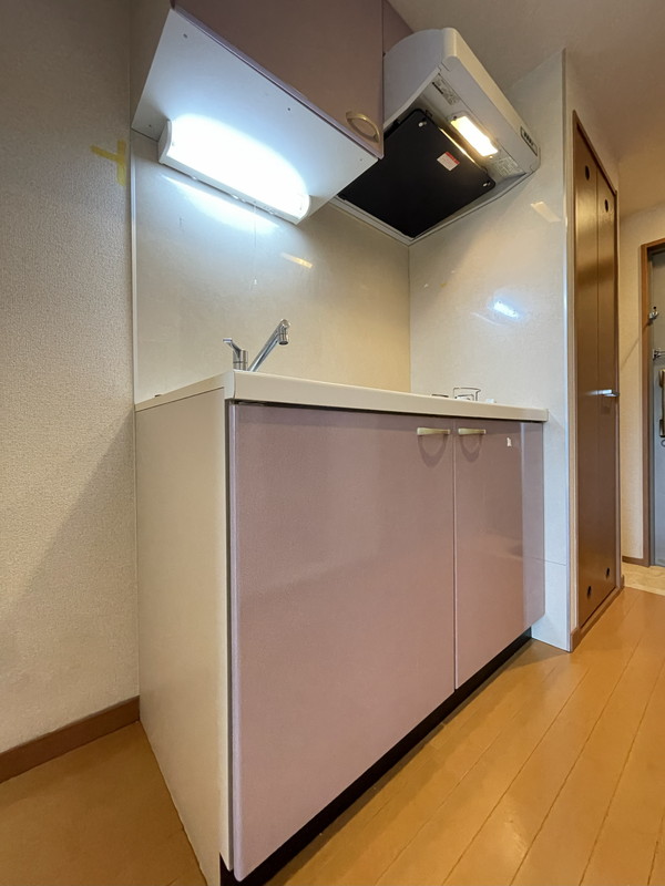 スカイコート学芸大学壱番館304の室内8