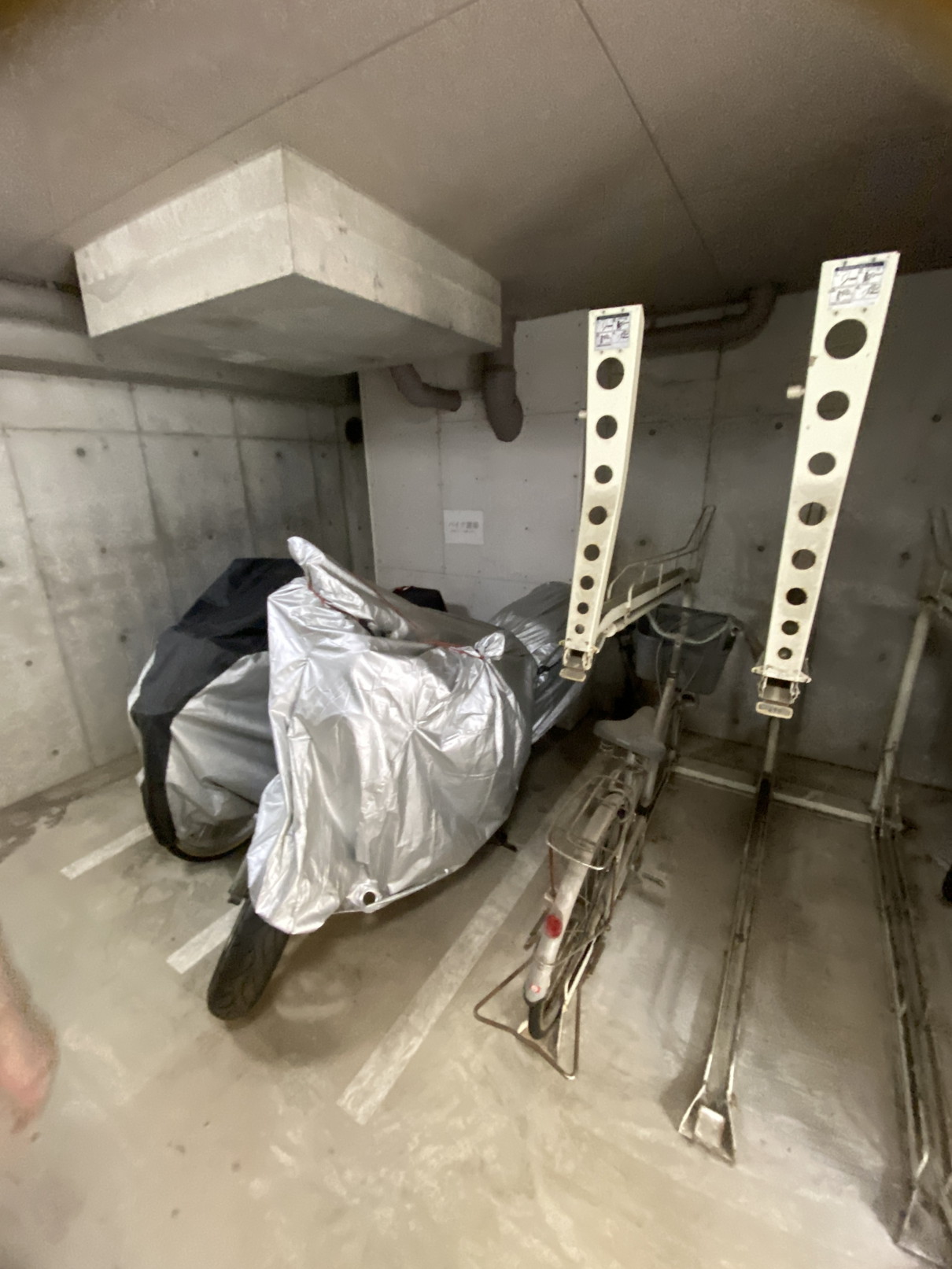 トゥールロワイヤル三軒茶屋503の室内13