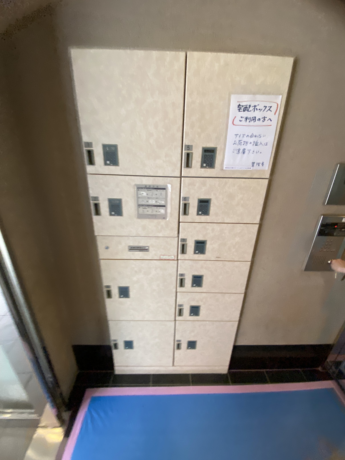 トゥールロワイヤル三軒茶屋503の室内14