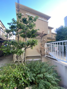 カーサ碑文谷103の室内16