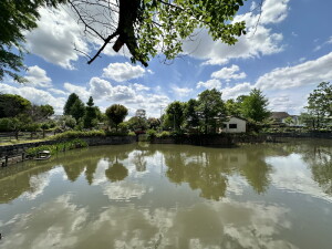 パインヴィレッジ201の室内18