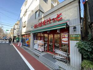 カスタリア自由が丘0311の室内15