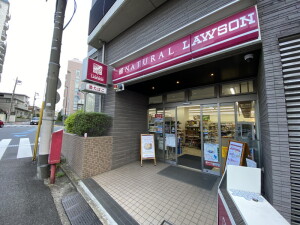 カスタリア自由が丘0311の室内17