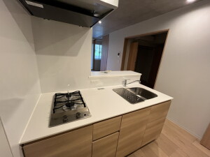 The Grand Terrace Wakabayashi(ザグランドテラス若林)213の室内4