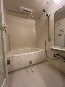 The Grand Terrace Wakabayashi(ザグランドテラス若林)213の室内6