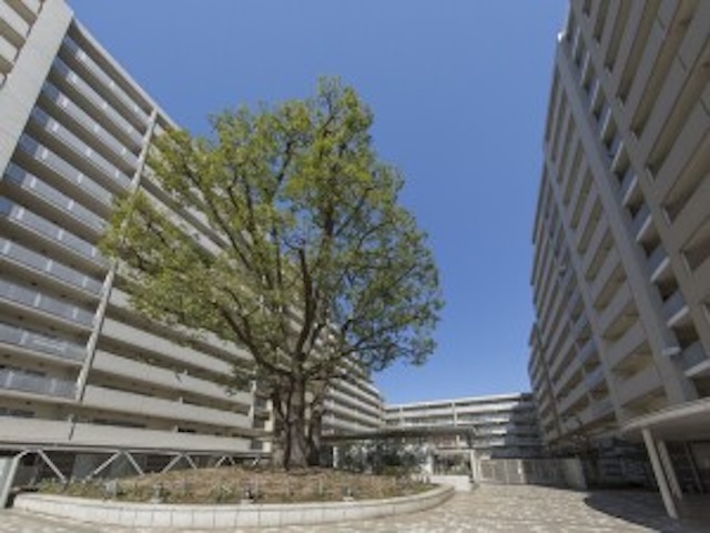 シティコート目黒２号棟508の室内12