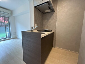 レジディア世田谷若林0103の室内11