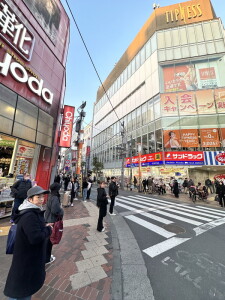 レジディア世田谷若林0103の室内15