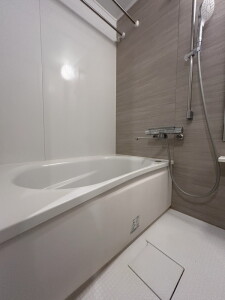 レジディア世田谷若林0103の室内8