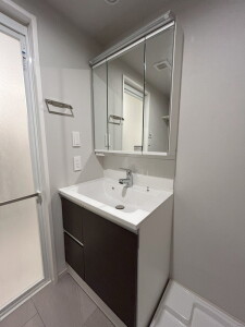 レジディア世田谷若林0103の室内9