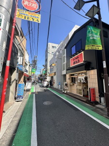 レジディア世田谷若林0103の室内17