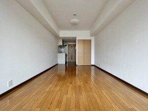 CASSIA目黒(カッシア目黒)0502の室内3