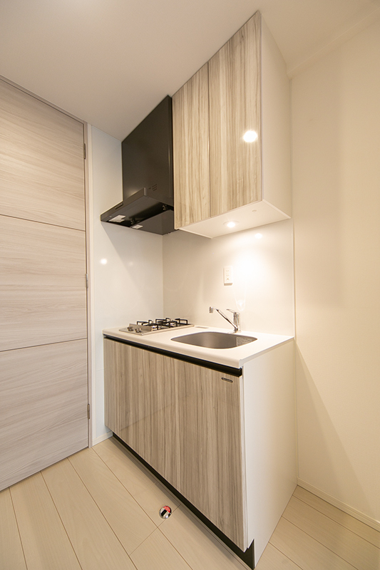 アヴニール三軒茶屋102の室内5