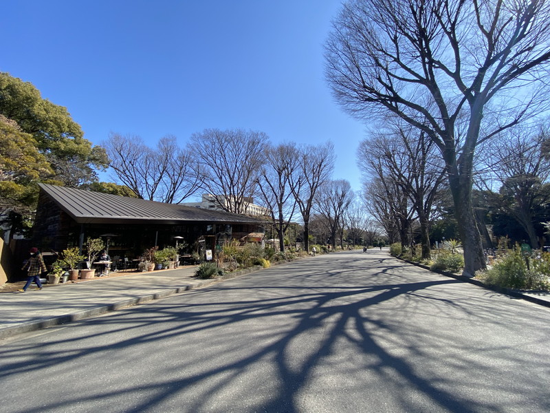 GRAND駒沢公園(グランド駒沢公園)404の室内10