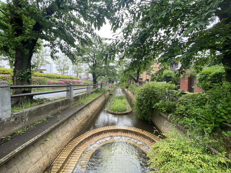 GRAND駒沢公園(グランド駒沢公園)404の室内12