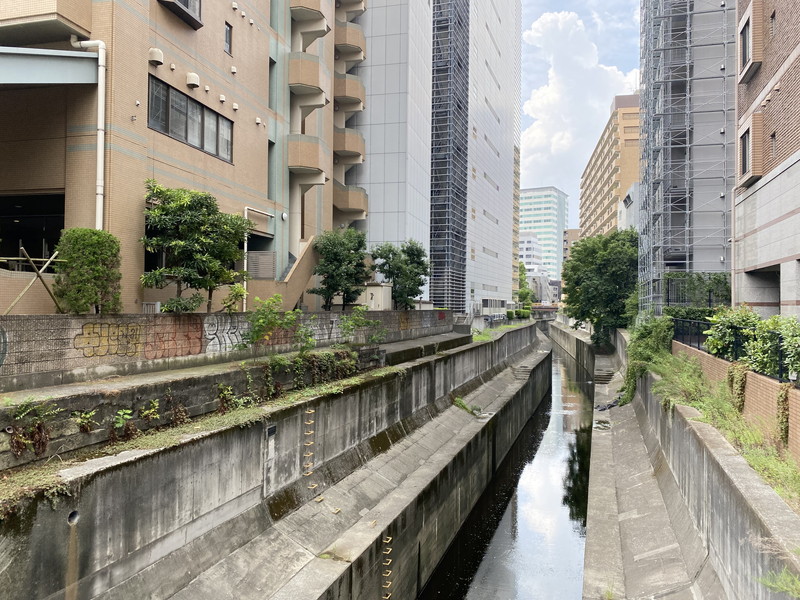 朝日広尾マンション507の室内15