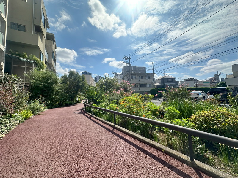 ゾンネンハイム大橋514の室内18