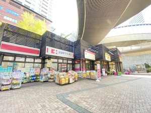 ゾンネンハイム大橋514の室内17